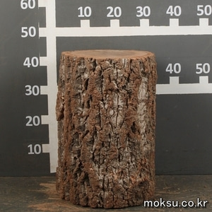작은목재 74 굴참나무목원