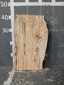 대패안된 무늬목 피나무 108목원